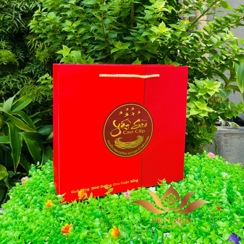 Túi Yến Sào size lớn 29 * 27 * 9