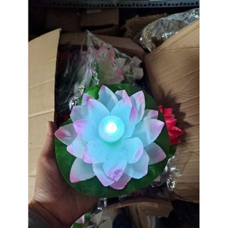 combo đèn led gắn lồng đèn giấy thay thế đèn cầy