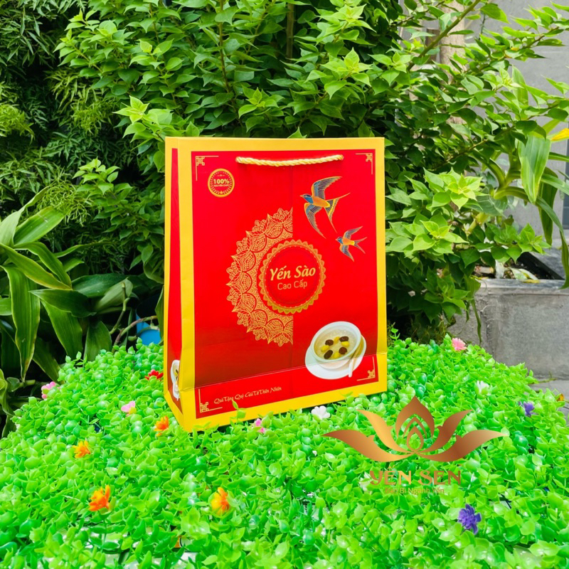 Túi yến sào 100gr size 28*23*8