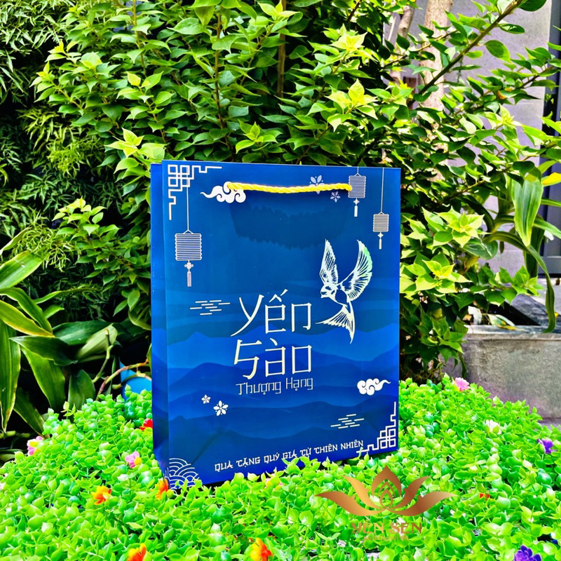 Túi yến sào 100gr size 28*23*8