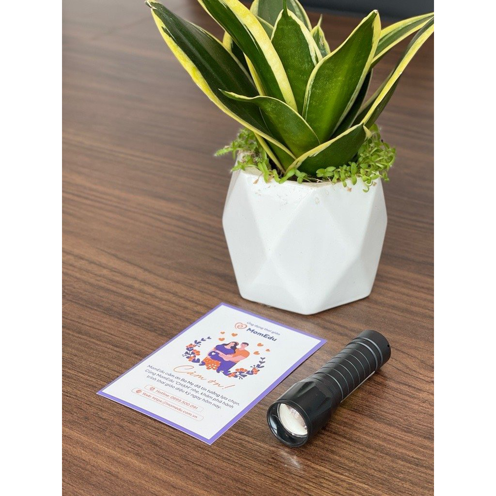 Đèn pin Thai giáo MomEdu