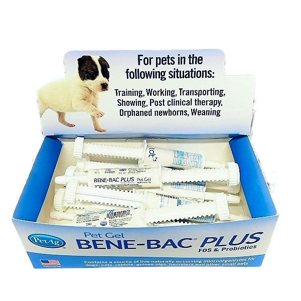 Men Tiêu Hóa Cho Chó Mèo Bene Bac Plus Ống 15gram