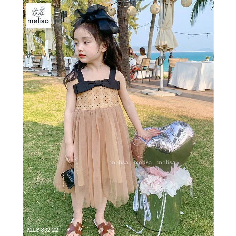 V2374 Đầm Melisa BG nâu hoa thêu nổi 3D (10-40kg)