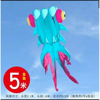 DIỀU KHÍ ĐỘNG HỌC - CÁ GOLD FISH 5.5M
