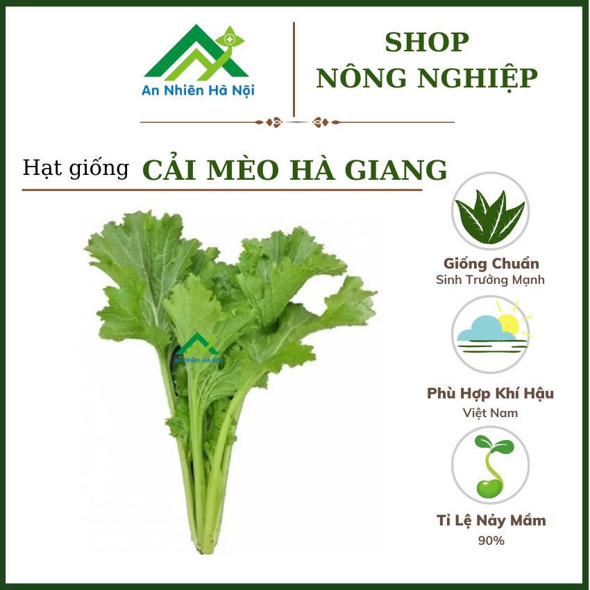 Hạt giống CẢI MÈO HÀ GIANG 20g - Loại đặc biệt, dễ trồng, nảy mầm tốt, năng suất cao