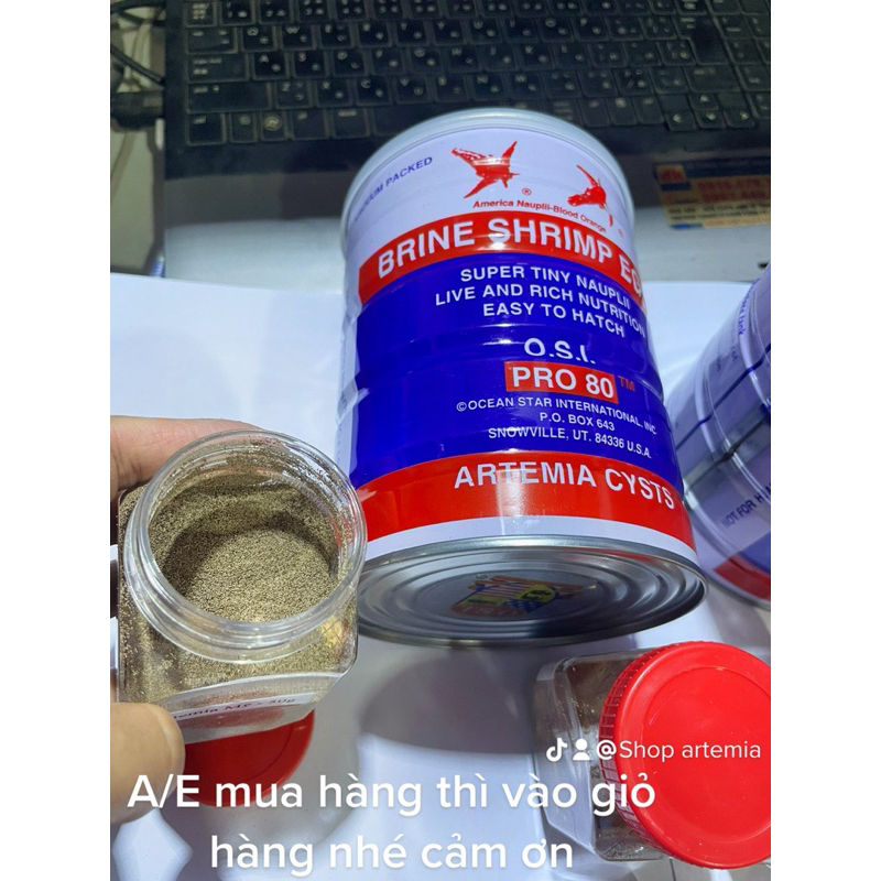 Artemia Mỹ nuôi sinh khối giá ưu đãi hủ nhỏ 10g-20g-50g