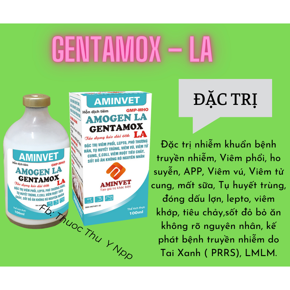 chai 100ml GENTAMOX – LA [aminvet]