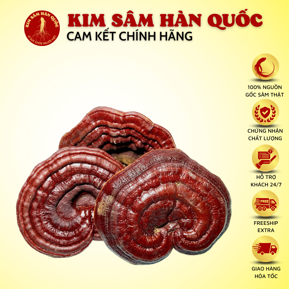 Nấm Linh Chi Uhak Hàn Quốc Sấy Khô Làm giảm quá trình lão hóa, Tăng cường hệ miễn dịch và bảo vệ sức khoẻ