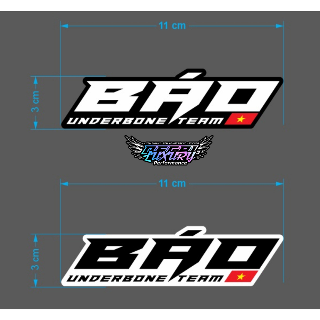 Tem báo underbone team , Báo thủ