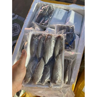Cá đù 1 nắng 500gr thơm ngon dày thịt