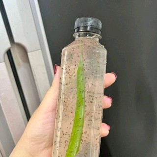 sét mủ chôm hạt chia( bịt 400g)
