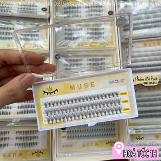 Mi sợi muse n03 mi giả tách sợi chữ a mi chùm muse mã n03