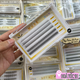 Mi sợi muse n01 mi giả tách sợi chữ a mi chùm muse mã n01