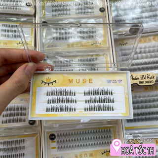Mi sợi muse n07 mi giả tách sợi chữ a mi chùm muse mã n07