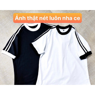 ÁO BABYTEE VIỀN BIGSIZE 55-85KG ( BÈO BÉO )