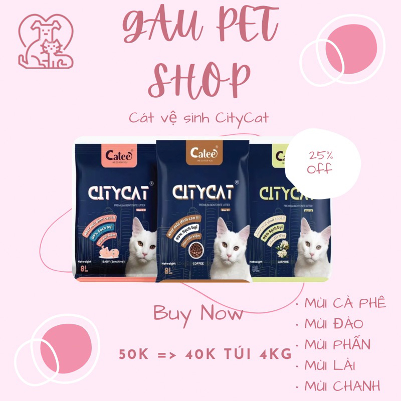 Cát đất sét City cat