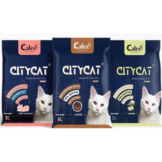 Cát đất sét City cat