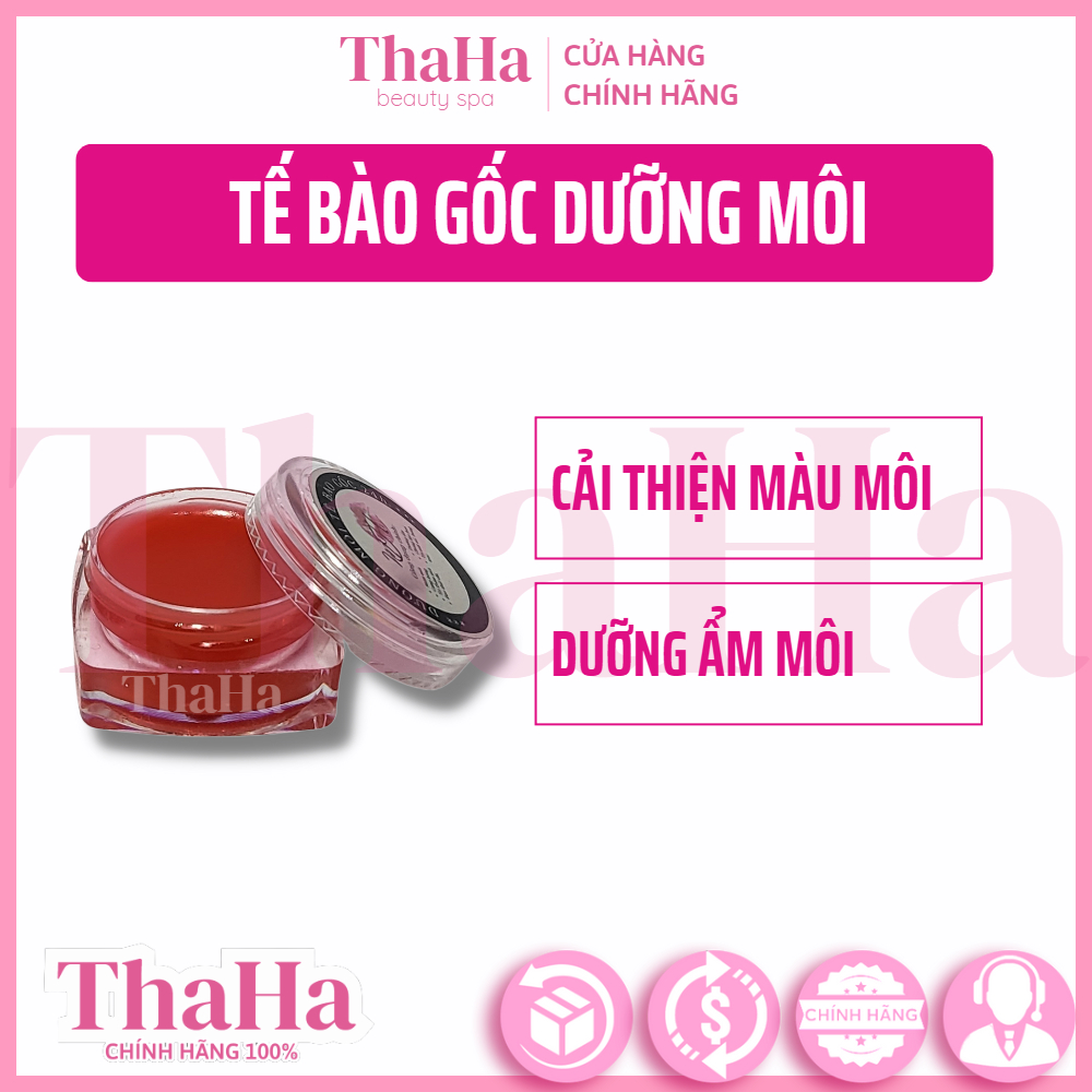 Dưỡng Môi MH Beauty Spa Tế Bào Gốc 5g - Cải thiện màu, hồi phục + dưỡng ẩm cho môi
