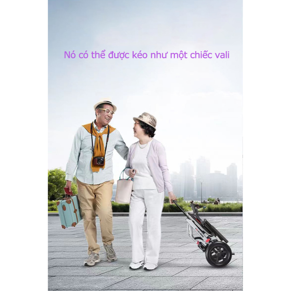 Xe lăn điện ngả nằm Lucass XE-110LA