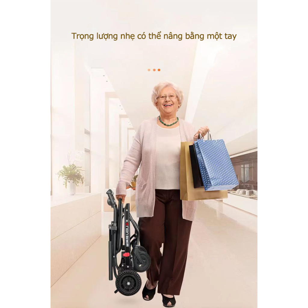 Xe lăn điện ngả nằm Lucass XE-110LA