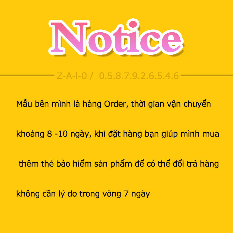 Xe lăn điện ngả nằm Lucass XE-110LA