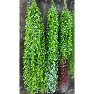 Hoa giả,rủ trang trí,rủ cúc tần