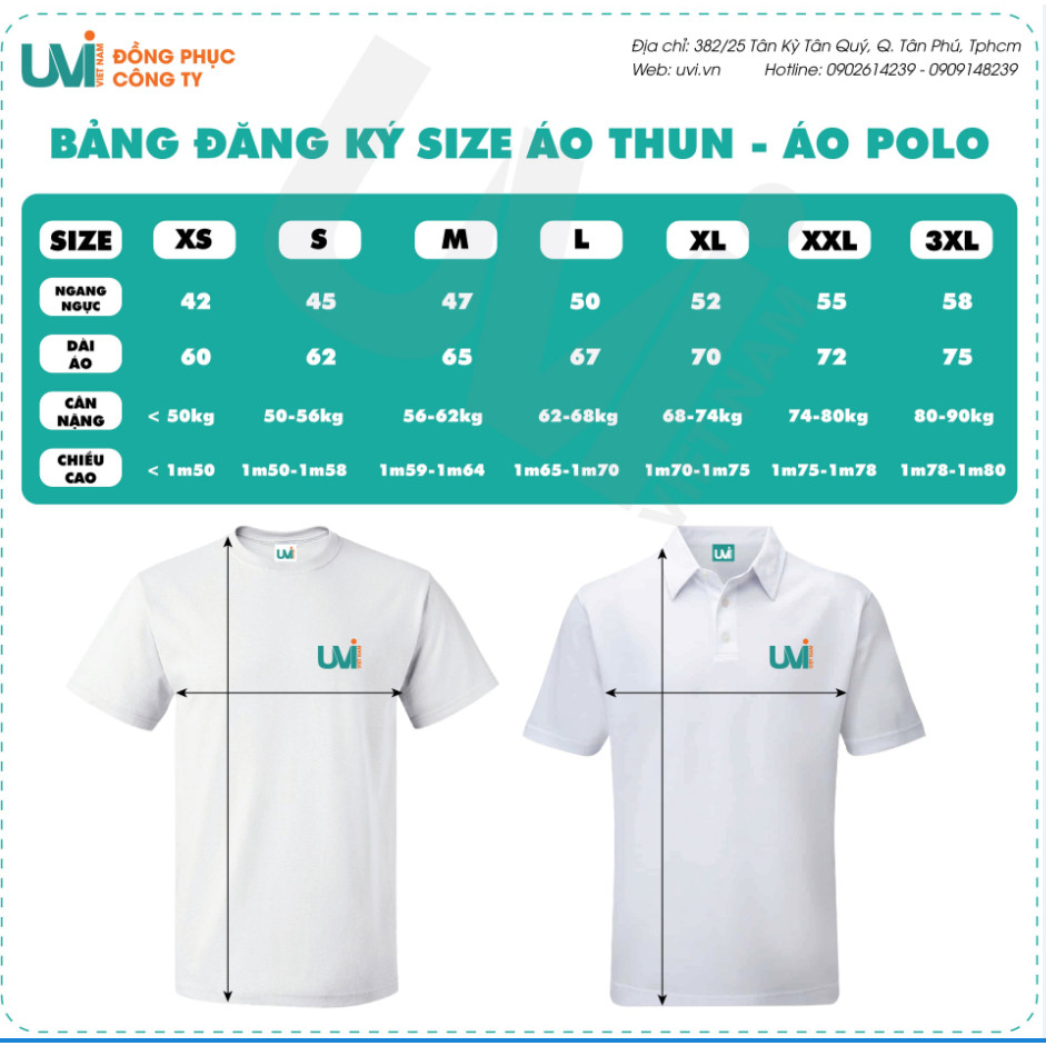 Áo thun gấu dâu, áo polo gấu dâu