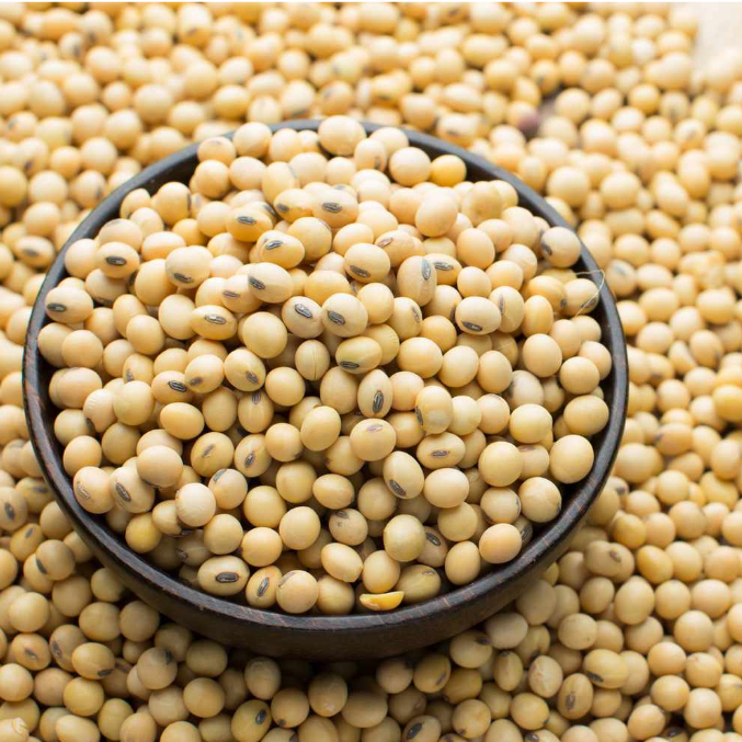 500GRAM ĐẬU NÀNH NGUYÊN HẠT THUẦN CHỦNG HỮU CƠ TỰ NHIÊN - HẠT BAN MÊ FOOD