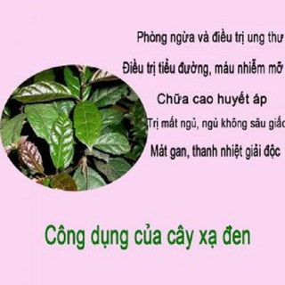 1kg Xạ Đen Hòa Bình Sấy Khô