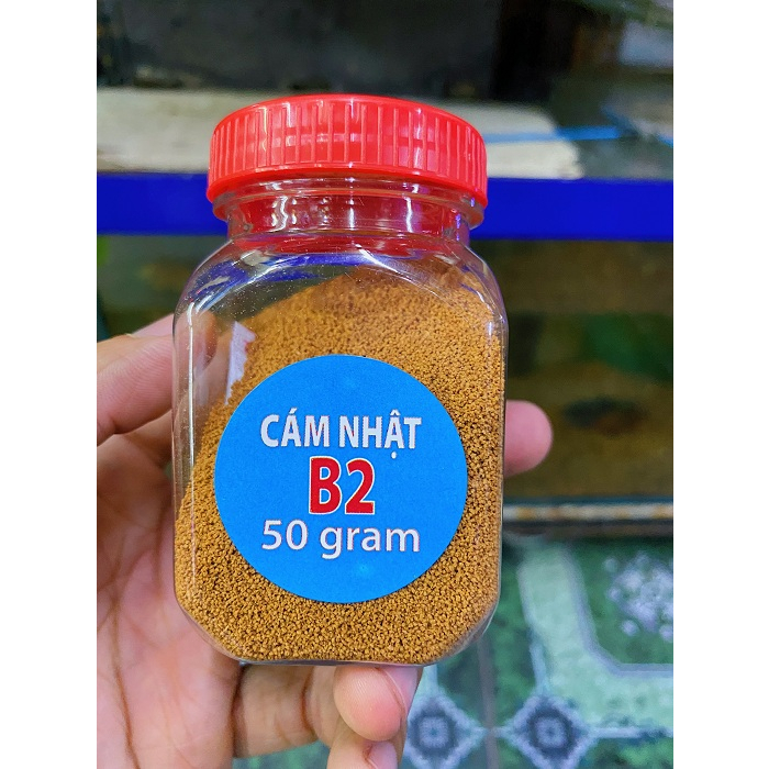 Cám nhật b2
