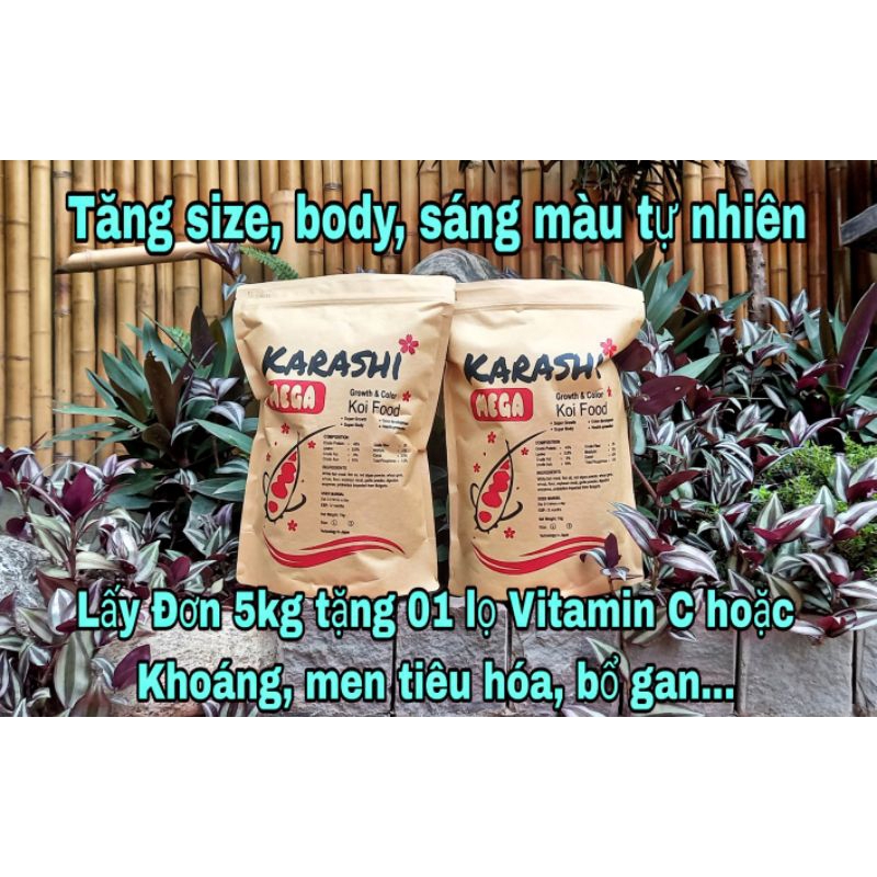 Cám Cá Koi Karashi 45% Đạm