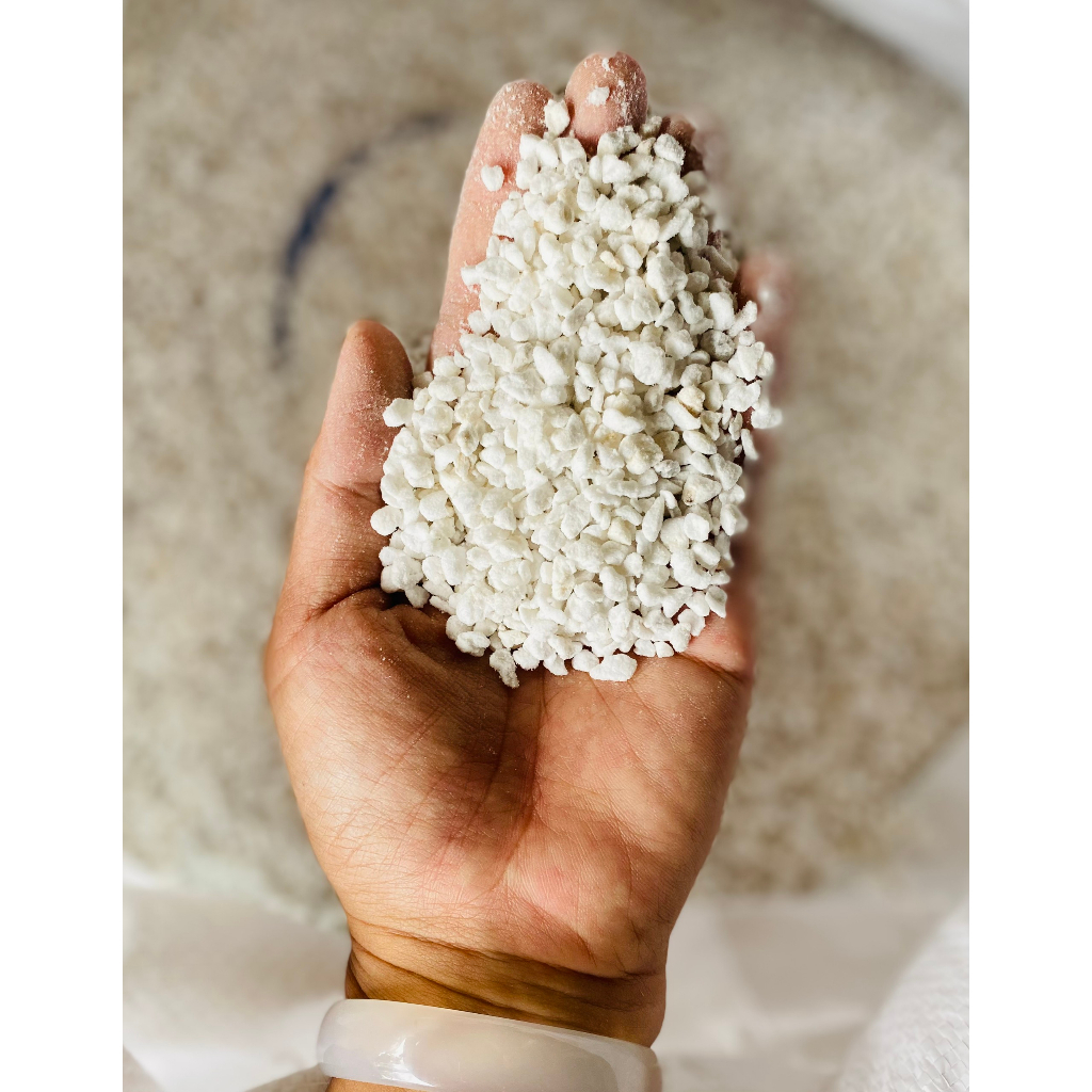 100gr đá Perlite- đá trân châu SEN ĐÁ PHƯƠNG ANH giàu khoáng chất, trộn giá thể trồng sen đá