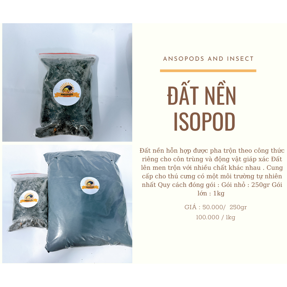 Đất nền nuôi Isopod , nhện , kiến , rết