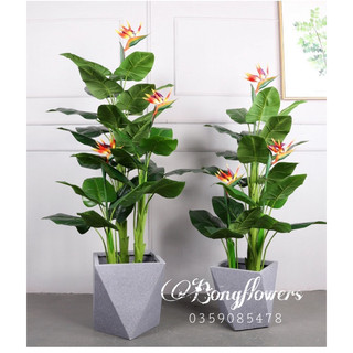 Cây Thiên Điểu Giả cao 150cm 3 thân - cây giả decor, cây giả trang trí