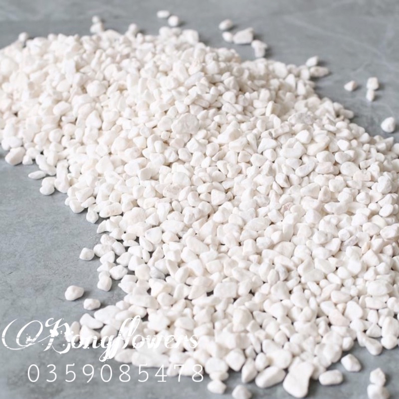 01 kg sỏi trắng dài chậu trang trí bể cá tiểu cảnh sân vườn