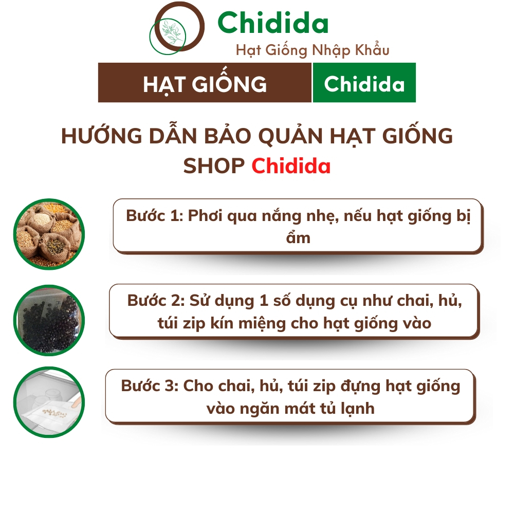 Hạt giống hoa mào gà đuôi phụng Chidida giống mào gà phụng vỹ vàng Thái Lan gói 400 hạt