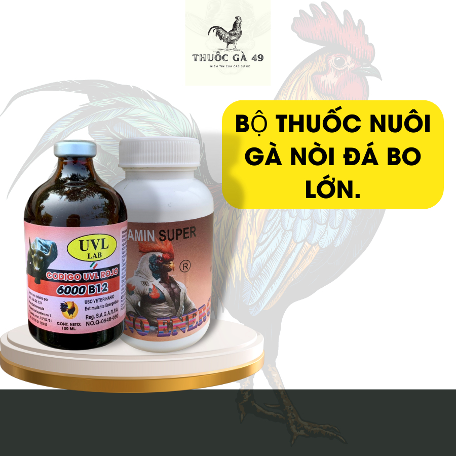 Bộ nuôi gà đá, thuocgada B12 6000 UVL và Vitamin Super, cung cấp vitamin, giúp gà lên cơ, lên ký.