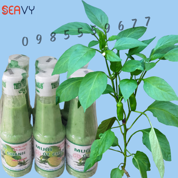 🍋🌶️ Muối ớt chanh chấm hải sản, muối ớt chanh Nha Trang, chai 250 gram - Seavy 🍋🌶️