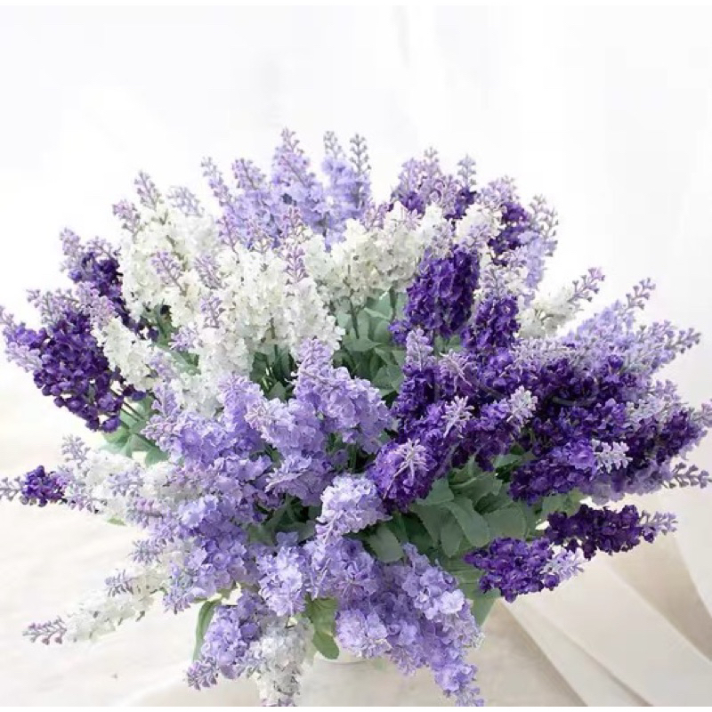 [ Hoa Thạch Thảo] Bụi chồn thạch thảo trang trí decor siêu đẹp