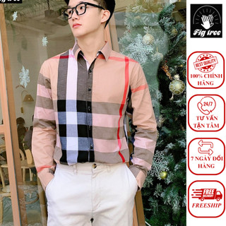 Áo sơ mi nam fig tree mẫu burberry kem siêu hot