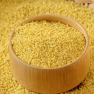 Hạt Kê Nếp Vàng Tách Vỏ 100g