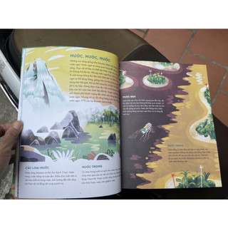 Sách Thám Hiểm Amazon (Bìa mềm)