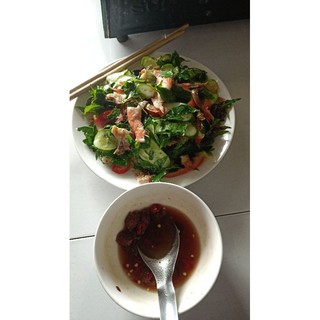 Sầu đâu bầu lớn, cây trồng nhanh cho đọt