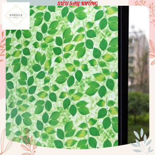 1 Mét Decal Kính Mờ Có Keo PVC 60cm Rộng DK005