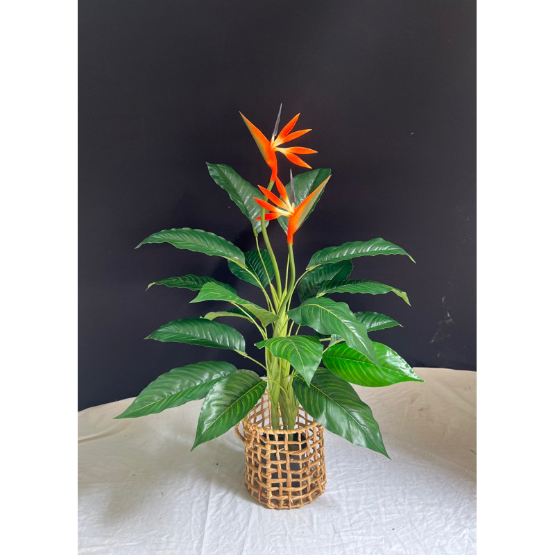 Cây thiên điểu 1m - cây giả decor