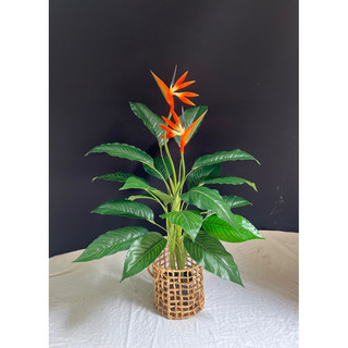 Cây thiên điểu 1m - cây giả decor