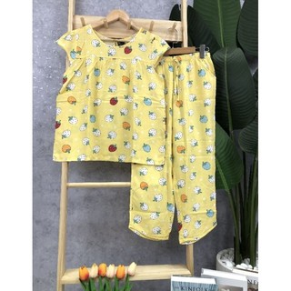Đồ bộ tole 9tấc tay búp