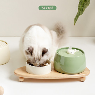 Máy lọc nước cho mèo, máy phun nước tự động, máy lọc phun nước cá heo BECHON