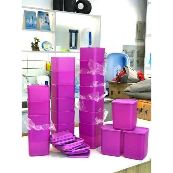 Bộ Hộp Bảo Quản Thực Phẩm đông mát Tupperware siêu kín