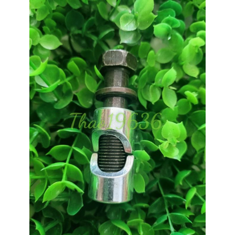 Ốc sọ Xipo ( Ghi đong )